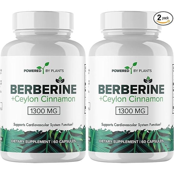 Berberine 1300mg with Cinnamon for Metabolism & Immunity (2 Pack)